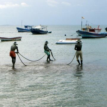 Bahia passa a ter marco regulatório para pesca e aquicultura
