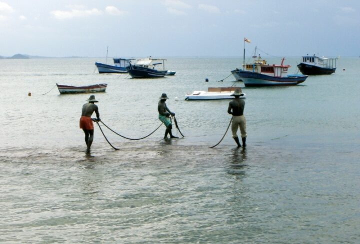 Bahia passa a ter marco regulatório para pesca e aquicultura