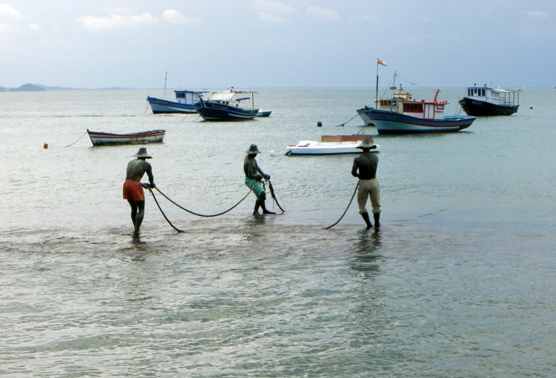 Bahia passa a ter marco regulatório para pesca e aquicultura