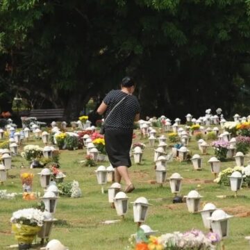 Cães e gatos podem ser sepultados em jazigos familiares em São Paulo