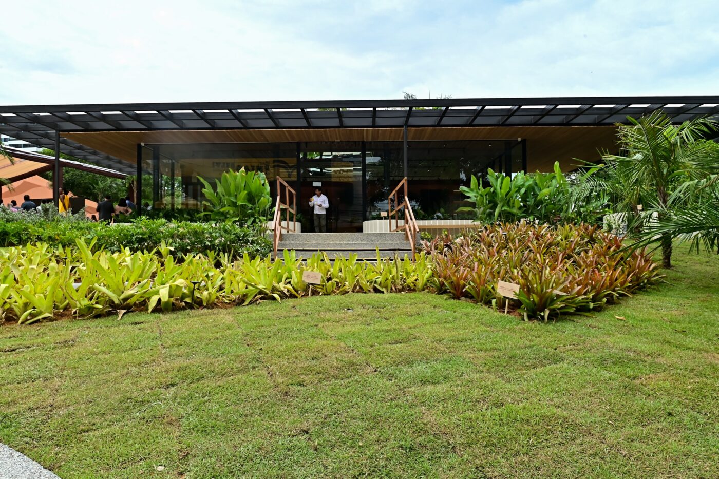 Bosque Caminho das Árvores