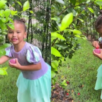 Bruna Biancardi encanta ao mostrar filha Mavie colhendo frutas