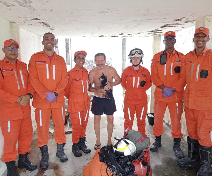 Após dois dias preso em ribanceira, cachorro cego é resgatado por bombeiros em Salvador