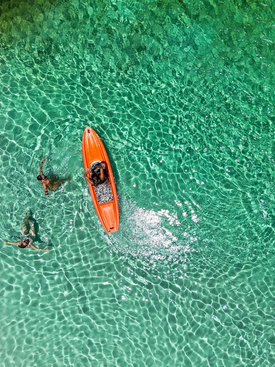 Elas Move Experience