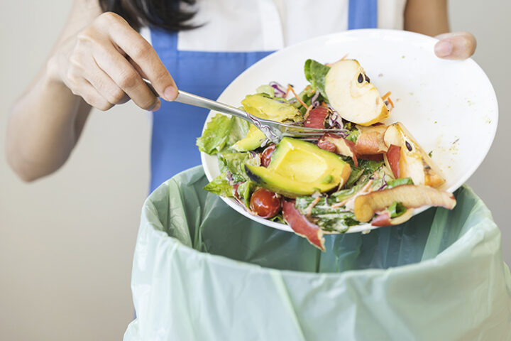 “Salvador Sem Desperdício”: Projeto de lei cria selo para incentivar redução do descarte de alimentos na capital