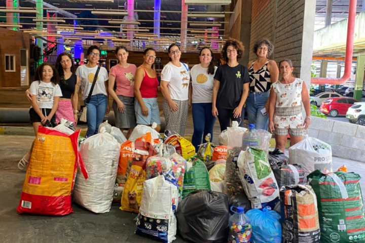 Ação arrecada recicláveis para financiar castração de animais de rua em Lauro de Freitas