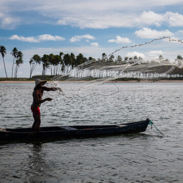 Projeto “Água Vida” volta à Bahia com ações de reflorestamento e educação ambiental no sul do estado