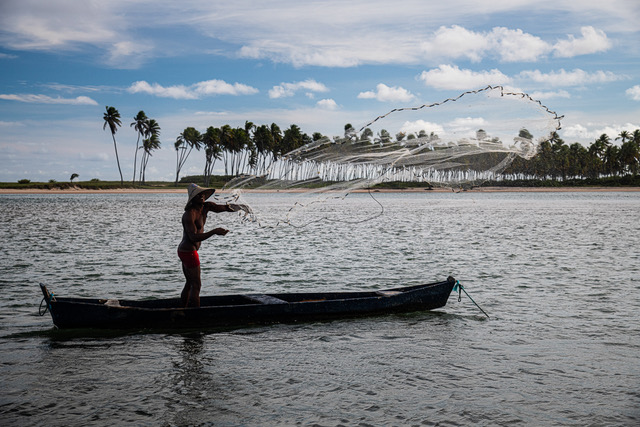 Projeto “Água Vida” volta à Bahia com ações de reflorestamento e educação ambiental no sul do estado