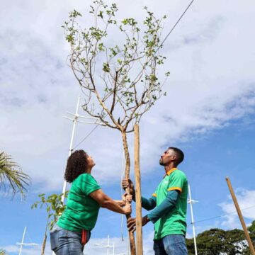 Salvador conquista importante selo mundial de cidade sustentável