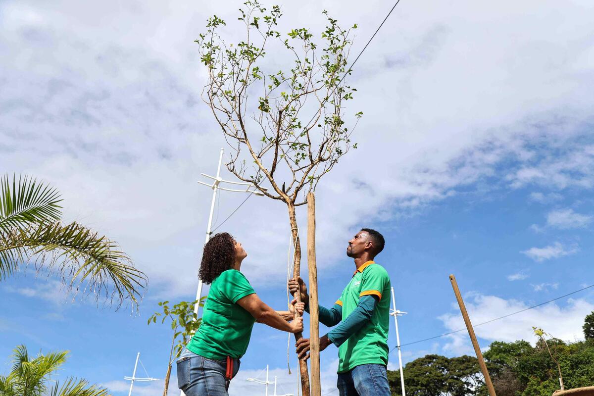 Salvador conquista importante selo mundial de cidade sustentável