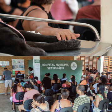 Hospital Veterinário de Salvador completa dois anos com mais de 337 mil atendimentos