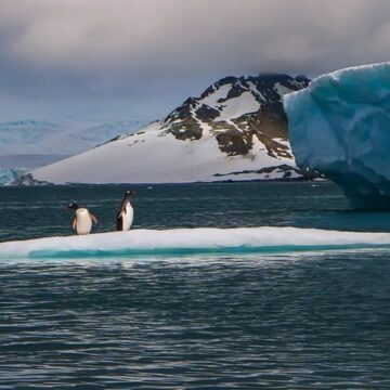 Estudo brasileiro alerta para degelo acelerado nas calotas polares