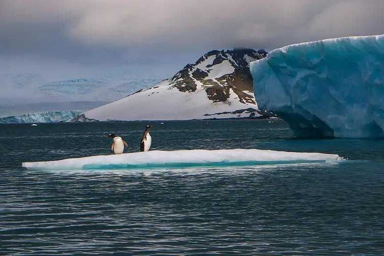 Estudo brasileiro alerta para degelo acelerado nas calotas polares