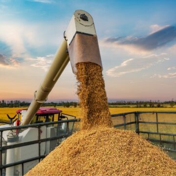 Guerra no Oriente Médio pressiona diesel e acende alerta no agronegócio brasileiro