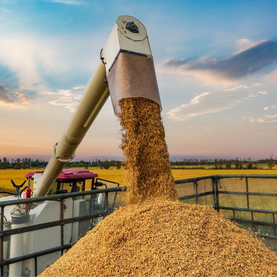 Guerra no Oriente Médio pressiona diesel e acende alerta no agronegócio brasileiro