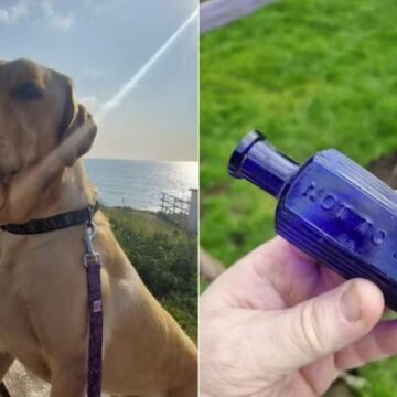 Cachorro encontra garrafa de ‘veneno’ que pode ajudar a decifrar assassinato de 160 anos