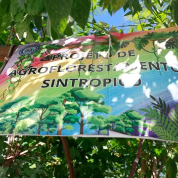 Estudantes de colégio de tempo integral transformam escola em espaço de educação ambiental e agroflorestamento