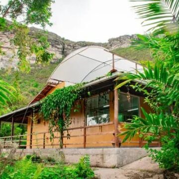 Justiça autoriza cultivo de cannabis medicinal na Chapada Diamantina