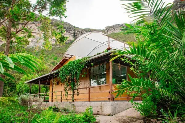 Justiça autoriza cultivo de cannabis medicinal na Chapada Diamantina