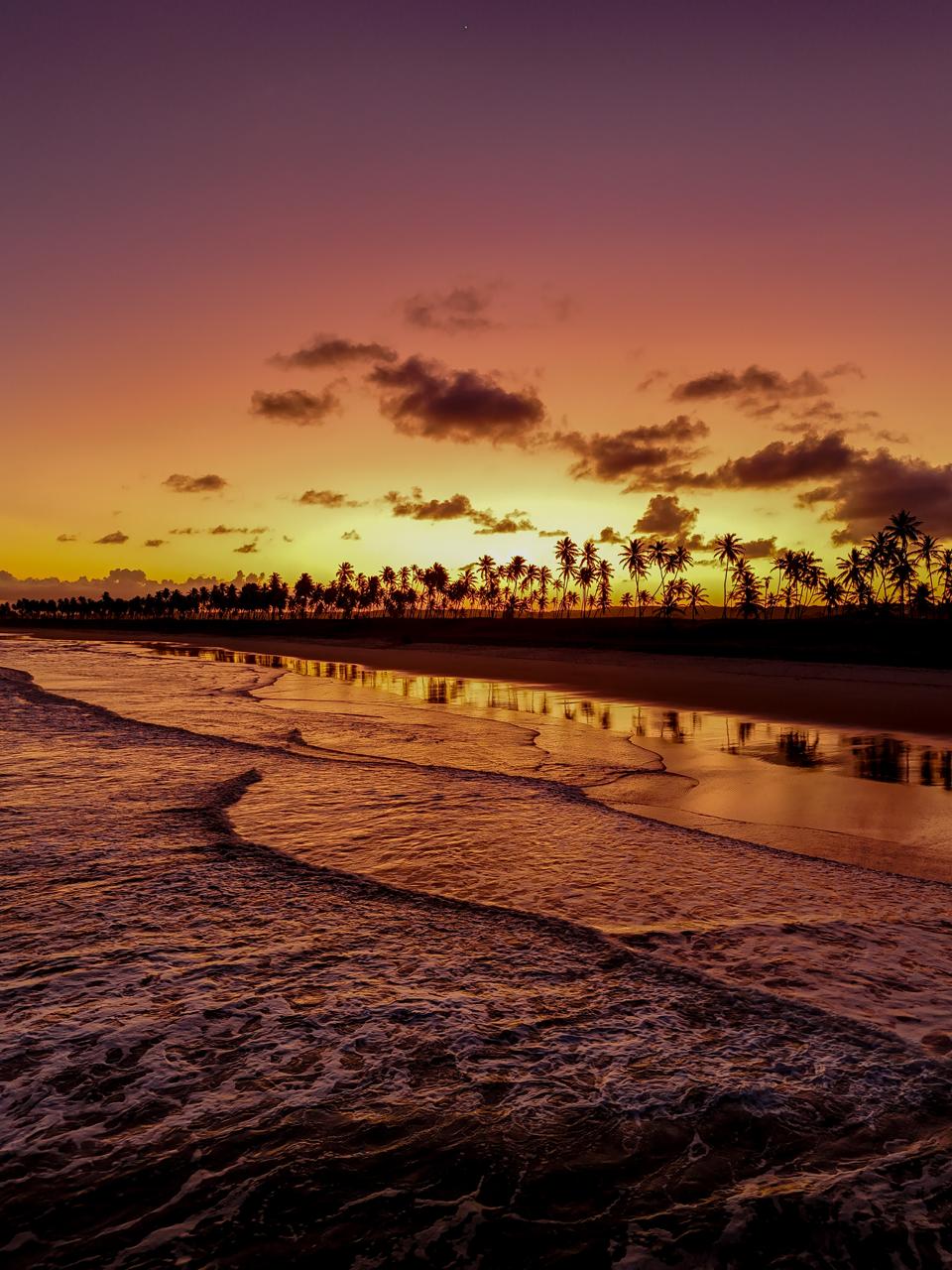 Elas Move Experience