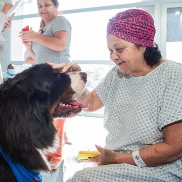 Nova lei autoriza entrada de animais de estimação em hospitais de Salvador