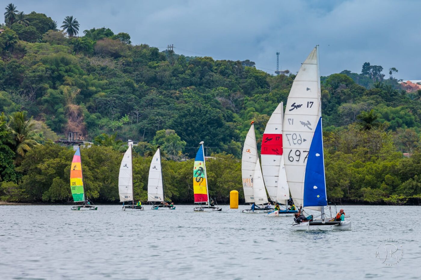 Museu do Recôncavo Wanderley Pinho promove I Encontro Náutico-Cultural e regata na Baía de Todos os Santos