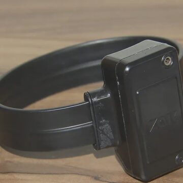 Senado aprova projeto que prevê uso imediato de tornozeleira por agressores de mulheres