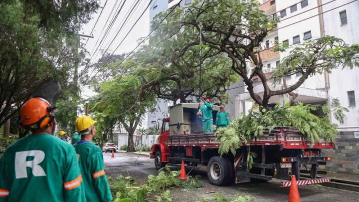 Projeto propõe criação de “Bosques de Bairro” para ampliar áreas verdes em Salvador
