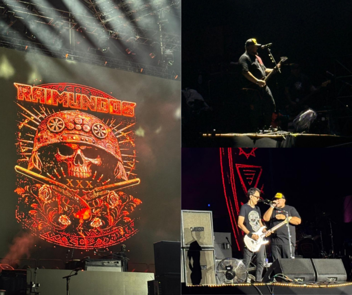 Raimundos se apresentam na Fonte Nova e aquecem público para show do Guns N’ Roses