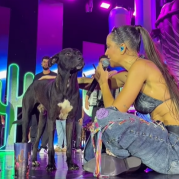 Cantora adota cachorrinho que invadiu palco em show e viraliza nas redes: ‘Último dia dele na rua’