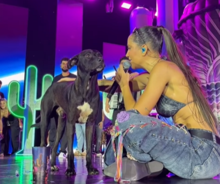 Cantora adota cachorrinho que invadiu palco em show e viraliza nas redes: ‘Último dia dele na rua’