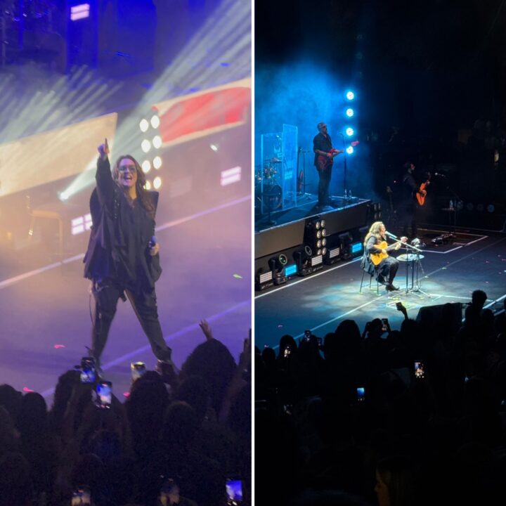 Ana Carolina apresenta sucessos em show lotado na Concha Acústica