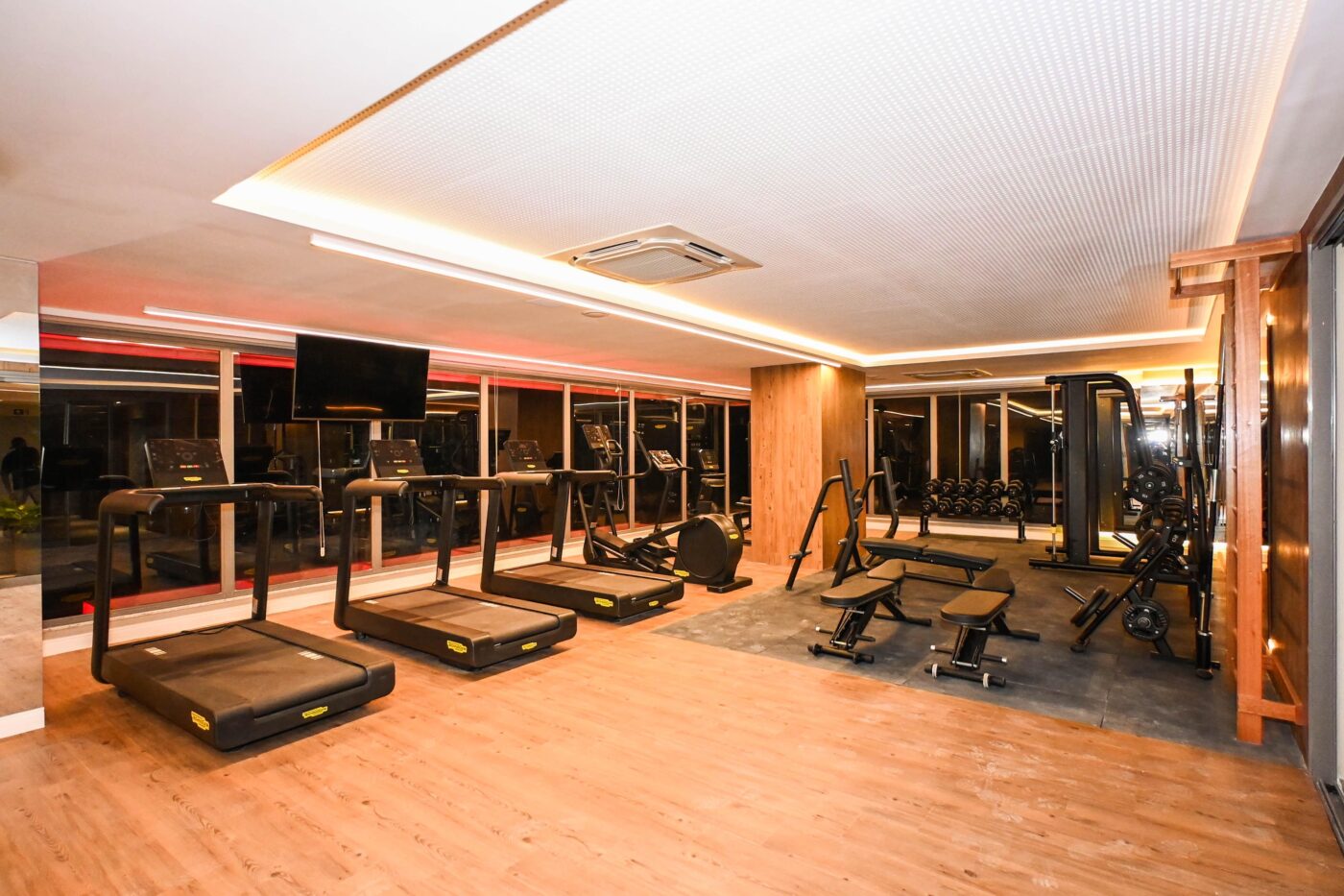 Mirat Martins de Sá