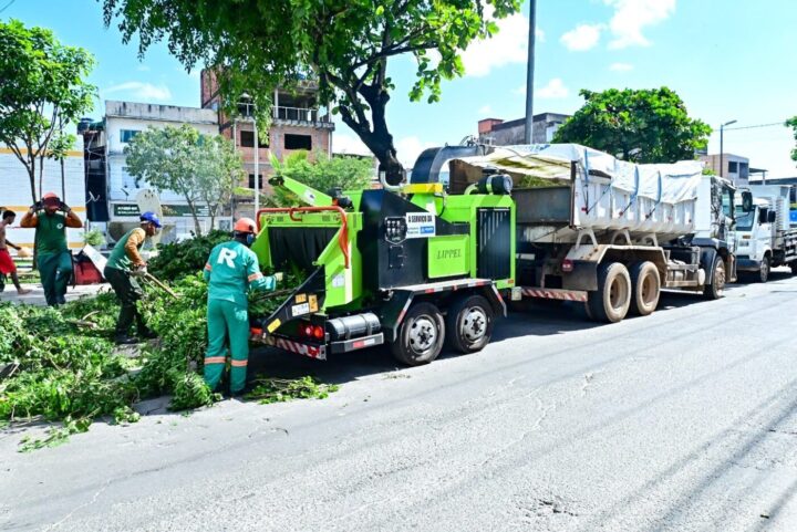 Salvador passa a utilizar triturador de podas para reciclagem orgânica