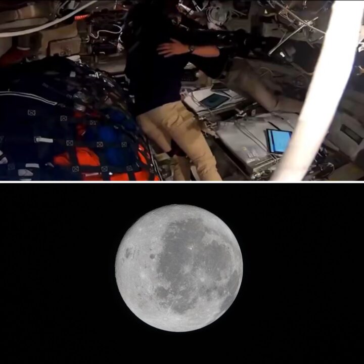 Astronautas da Artemis II batizam cratera lunar em homenagem à esposa falecida de comandante: ‘Um ponto brilhante’