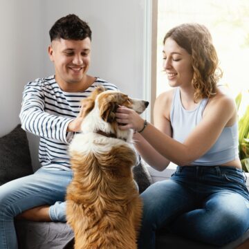 Senado aprova projeto de lei que estabelece guarda compartilhada de animais de estimação após separação