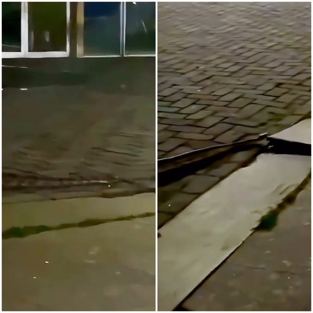 Jiboia gigante é filmada passeando pela Ufba e viraliza na web: ‘Nova aluna’; assista