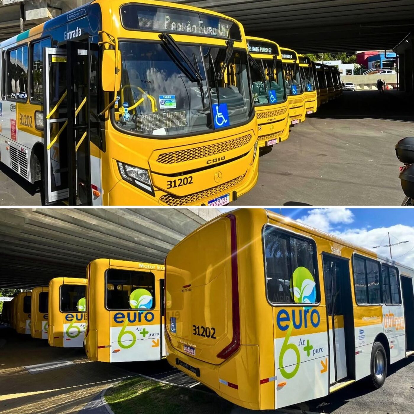 Prefeitura de Salvador anuncia investimento de R$ 264 milhões na frota de ônibus