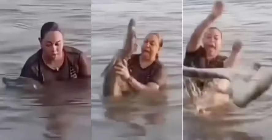 Banhista segura ‘pedaço de tronco’ em lagoa, mas depois descobre que era um jacaré; vídeo