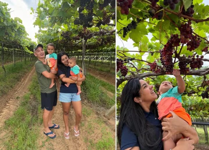 João Gomes revela ser dono de fazenda na Bahia: ‘Uma de uva e outra de gado’