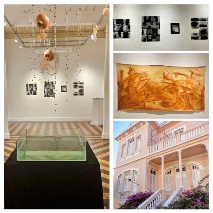 Exposição coletiva “Matizes Poéticas” une arte e pesquisa na Galeria Cañizares