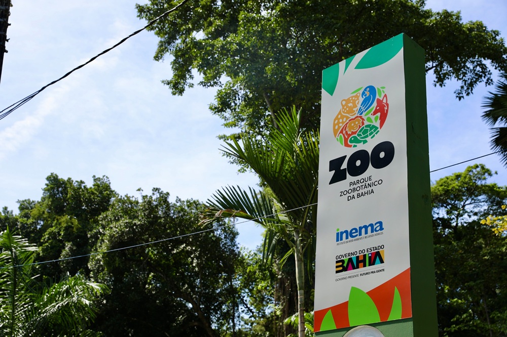 Fim dos zoológicos no Brasil? Projeto na Câmara prevê fechamento de unidades até 2028