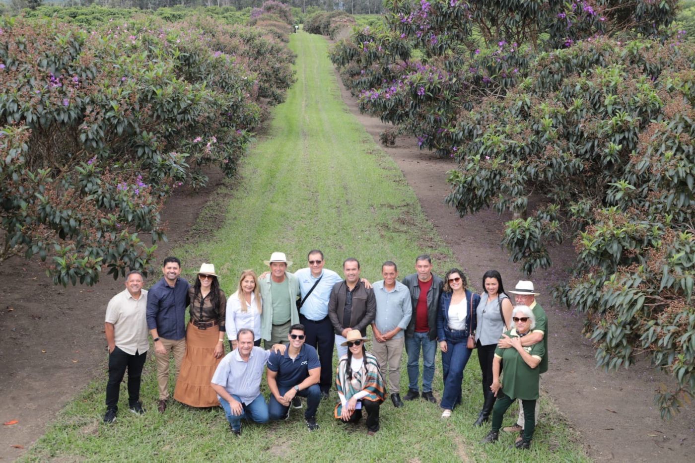 Rota dos Cafés Especiais é lançada no sudoeste da Bahia com percurso por fazendas