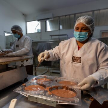 Bahia Cacau: pioneira no chocolate da agricultura familiar gera renda e transforma vidas no campo