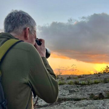 Bahia ganha projeção como destino de turismo sustentável com observação de fauna