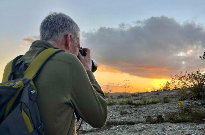 Bahia ganha projeção como destino de turismo sustentável com observação de fauna