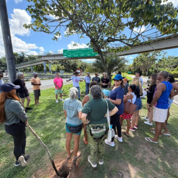 Com Daniel Cady, TEDx Praia do Forte promove plantio de mudas nativas