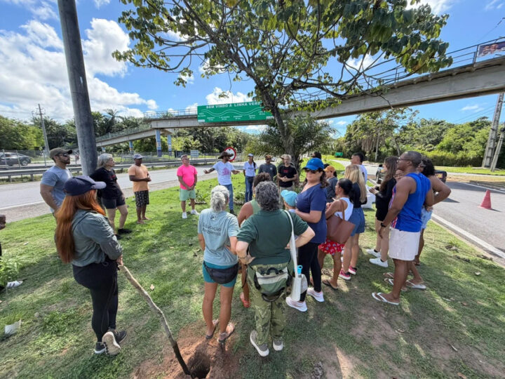 Com Daniel Cady, TEDx Praia do Forte promove plantio de mudas nativas