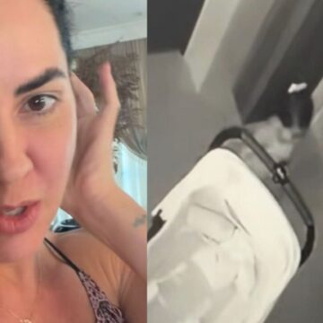 Graciele Lacerda flagra a filha Clara notando a falta de Zezé: ‘Achou que era ele’