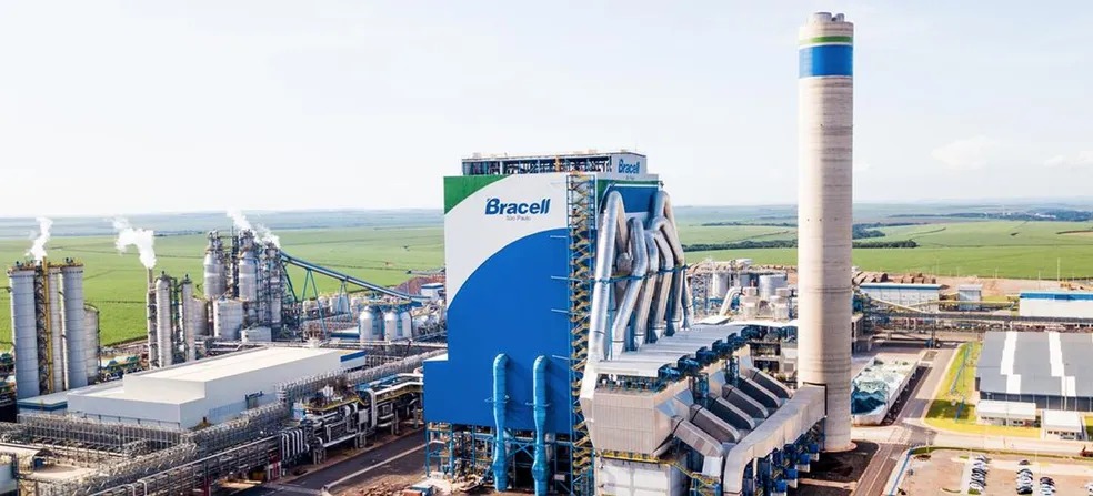 Bracell abre inscrições para programa de estágio na Bahia com bolsa de até R$ 2,2 mil